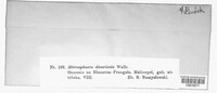 Image Associated With the Occurrence